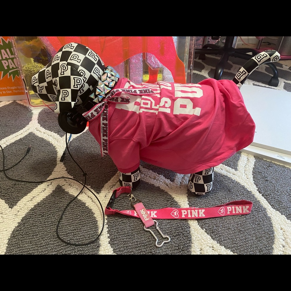 VS PINK INCREDIBLY RARE BUNDLE